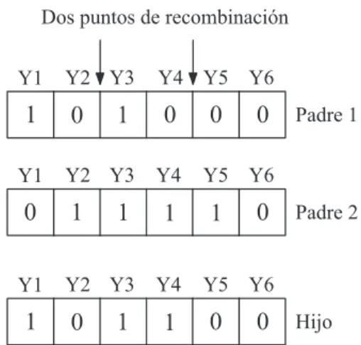 Figura 3: Ejemplo de recombinaci´on de dos puntos.