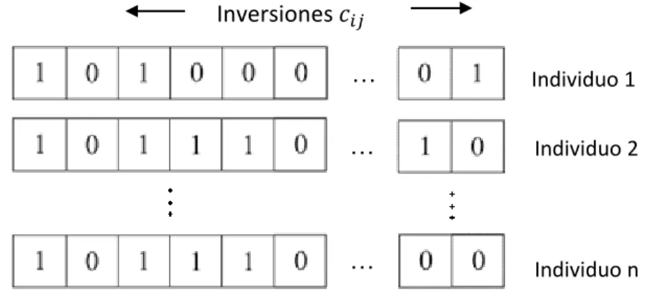 Figura 4. Ejemplo de una población inicial. 