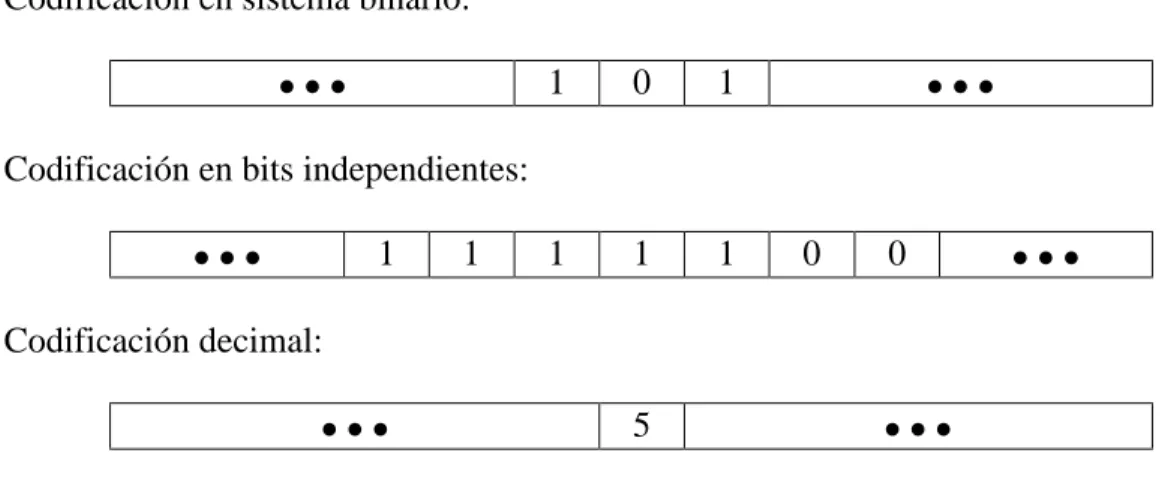 Figura 4.2: Diferentes formas de codificación 