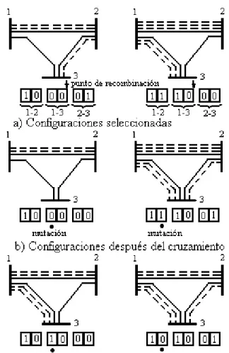 Figura 4.5: Recombinación y mutación en sistema binario 