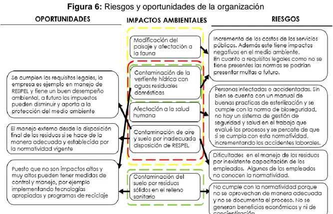 Figura 6: Riesgos y oportunidades de la organización 