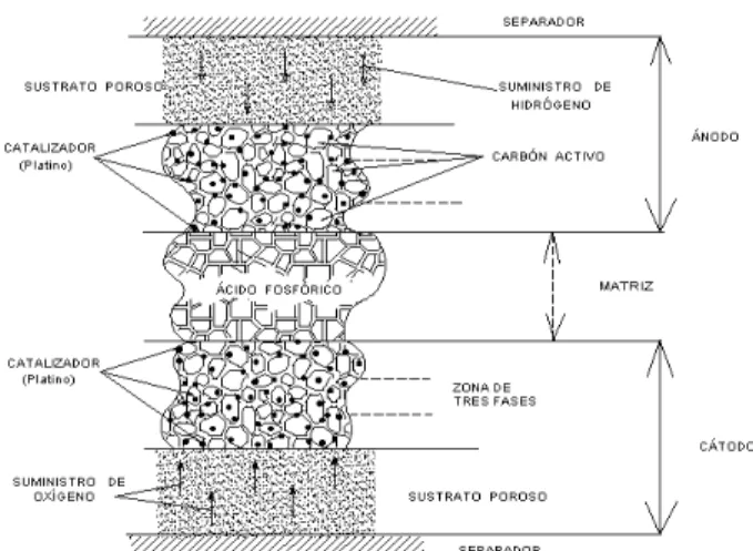Fig. 4.  Estructura de Una Celda. 