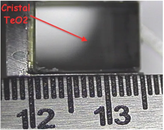 Figura 2-7 Cristal de Dióxido de Telurio ( TeO 2 ). 15mm x 10mm x 26mm 
