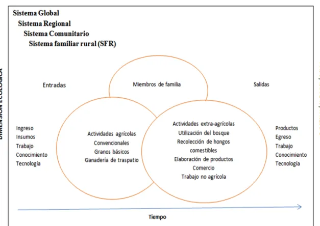 Figura 1. Modelo del Sistema Familiar Rural (SFR) (Martínez-Carrera et al., 2012). 