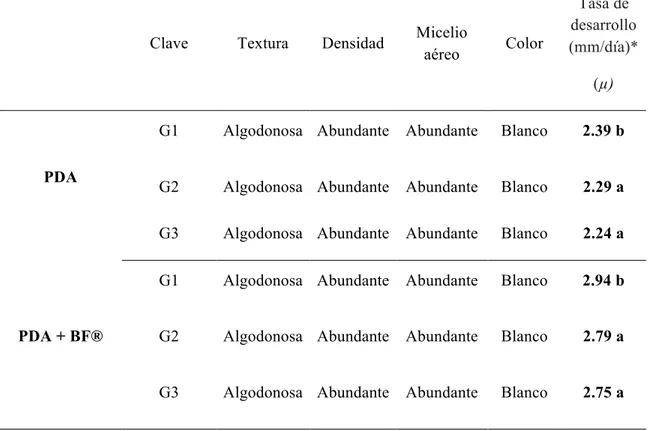 Tabla 9. Características macroscópicas de las cepas de G1ó Ganoderma curtisii, G2 ó  Ganoderma sp1 y  G3 ó Ganoderma sp2 , en medio PDA y medio PDA + BF®