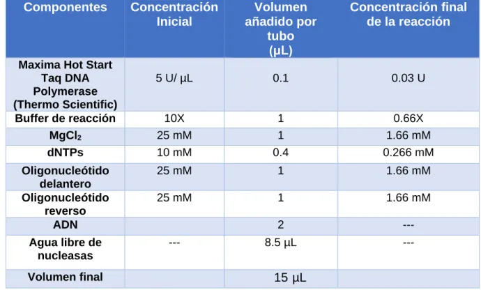 Tabla 4. Componentes y concentraciones de  la PCR para amplificar el  gen eno de H. influenzae 