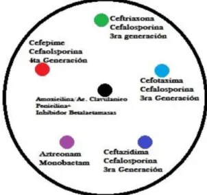 Figura 2. Ubicación de los sensidiscos para la prueba. 