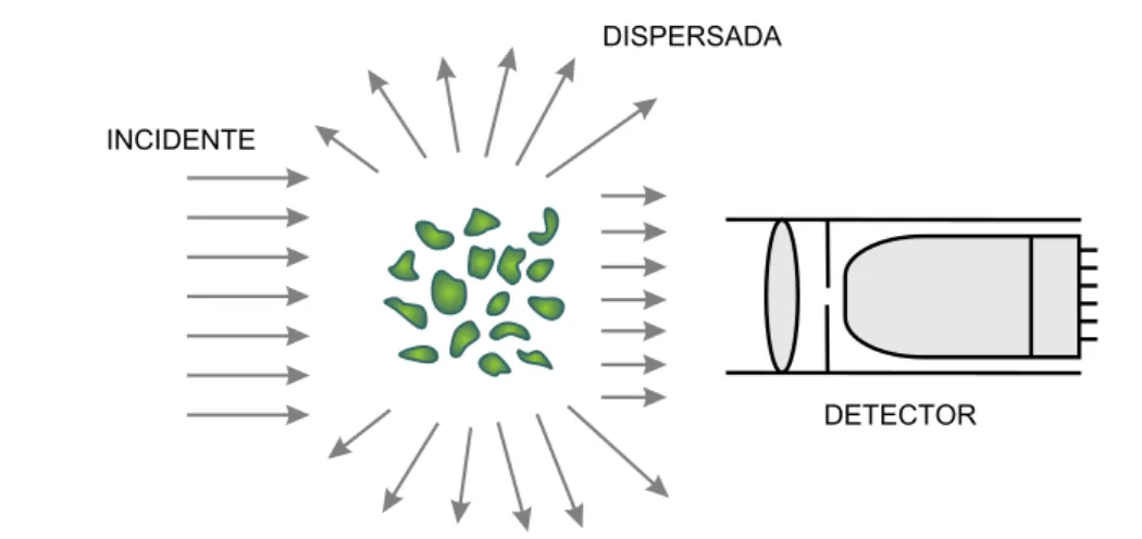 Figura 2.6: Extinci´ on de una onda electromagn´ etica provocada por una colecci´ on de part´ıculas y captada por un detector.