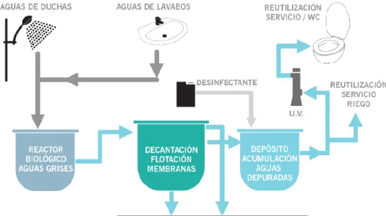 Figura 10 Sistemas biológicos (Creus, 2011) 