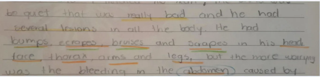 Figure 3.0 Examples of antonyms 