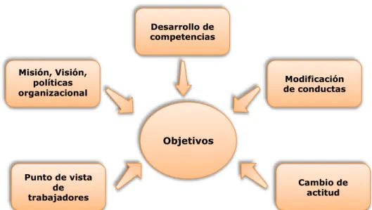 Cuadro 7.- Desarrollo de Objetivos 