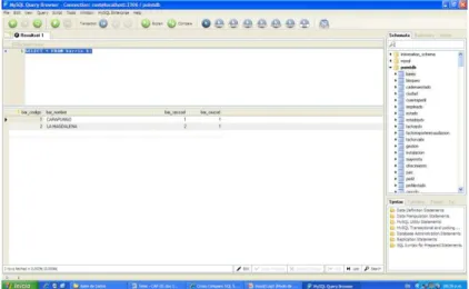 Figura 3.14: MySQL Query Browser. 