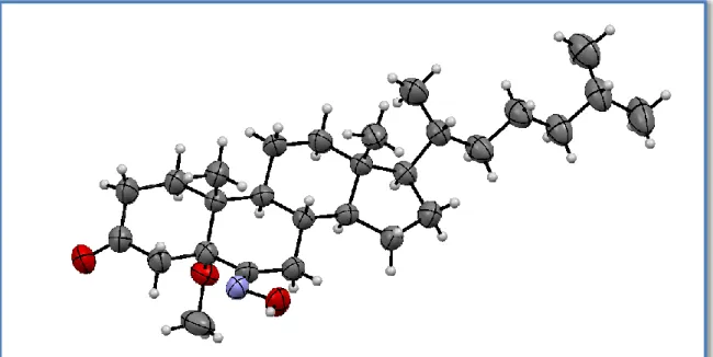 Figura 10. Diagrama ORTEP del derivado 152. 