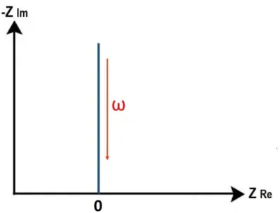 Fig. 2.5. Diagrama de Nyquist para un capacitor ideal.