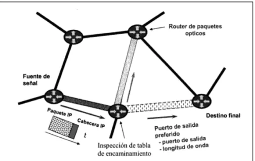 Fig. 1 – 9. Funcionamiento de una red de conmutación de paquetes ópticos [6]