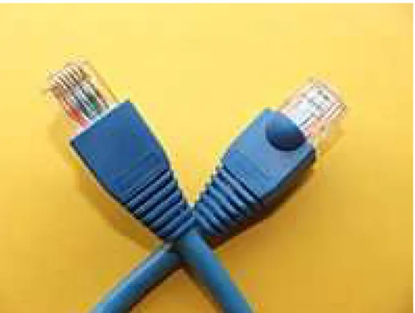 Figura 1.9 Conectores RJ45 