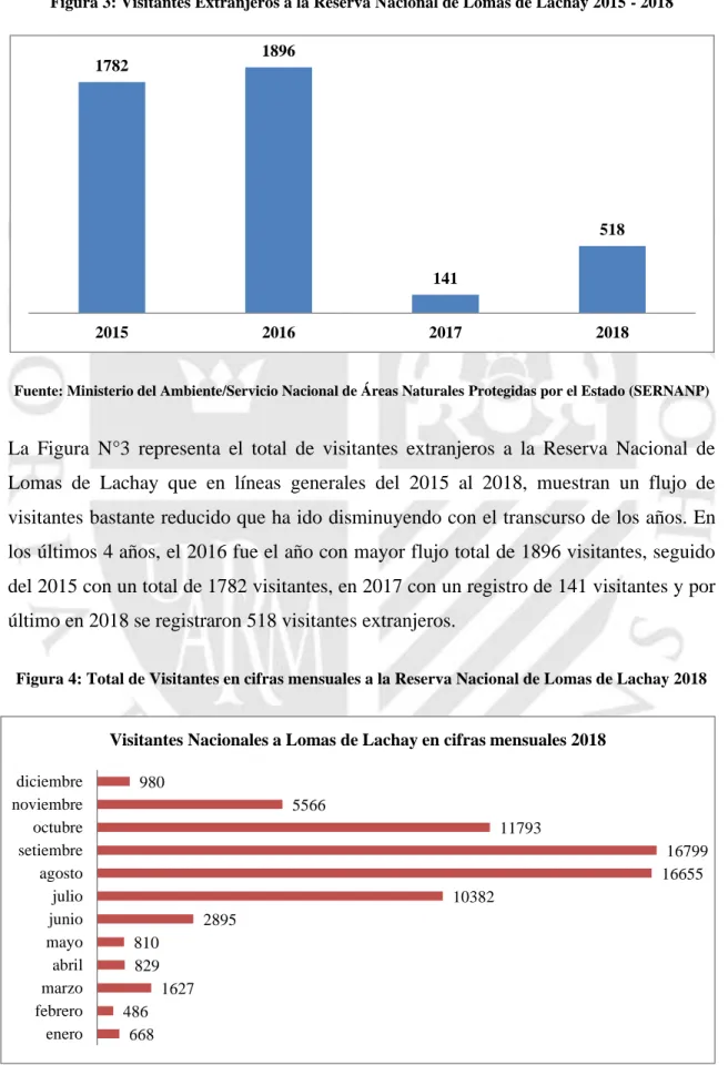 Figura 4: Total de Visitantes en cifras mensuales a la Reserva Nacional de Lomas de Lachay 2018 