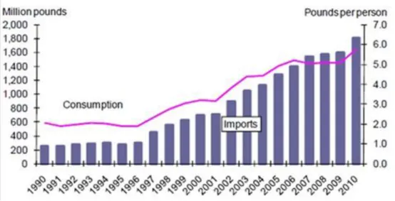 Figura 3. Importación y consumo de piña en Estados Unidos. 