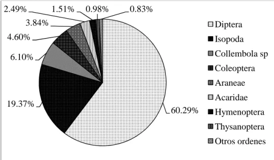 Figura  4.  Porcentaje  de  individuos  por  Orden  de  macroinvertebrados  encontrados  en  bromelias (Bromeliaceae) en Las Pacayas, Güinope, El Paraíso, Honduras, 2010