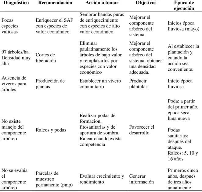Cuadro 4. Resumen de la situación actual del componente arbóreo asociado al cultivo  del  café    y  las  principales  actividades  recomendadas  a  realizar  deacuerdo  al  plan  de  manejo concernientes al componente arbóreo, en el Sitio Las Minas, depar