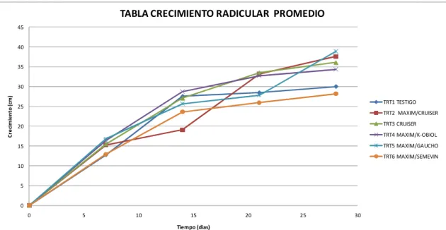 Figura 1. Desarrollo de radícula de plántulas con cinco insecticidas, un fungicida y un  testigo en maíz (Zea mays