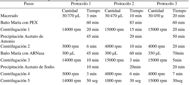 Cuadro 2. Protocolos experimentales para la extracción de ADN en Piñón. 
