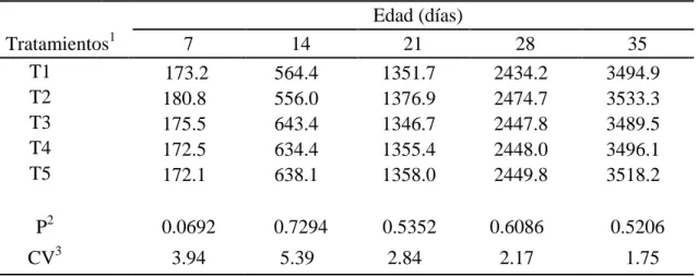 Cuadro 3. Consumo de alimento acumulado (g/ave) 