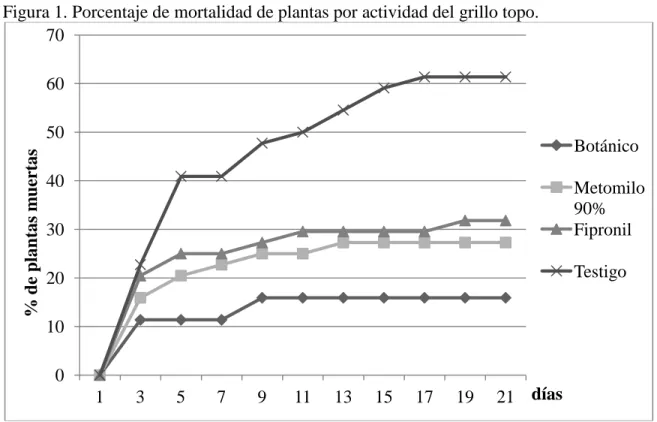 Figura 1. Porcentaje de mortalidad de plantas por actividad del grillo topo. 