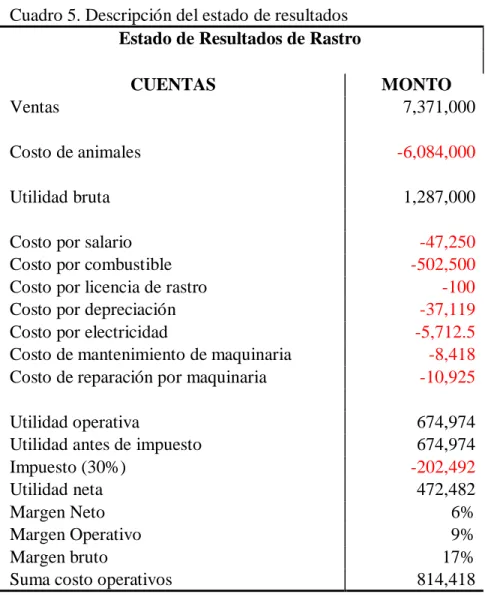 Cuadro 6. Descripción de depreciaciones. 