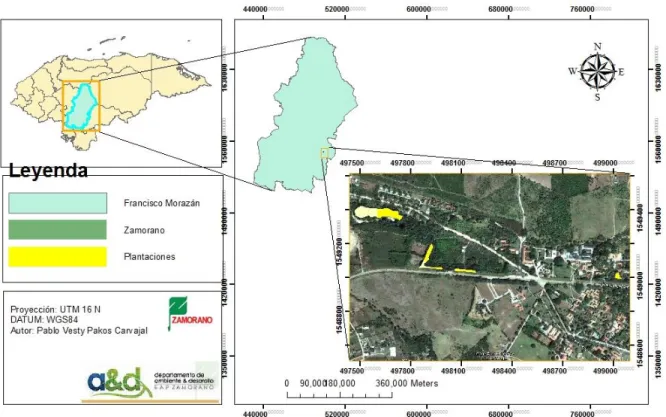 Figura  1.  Ubicación  geográfica  de  las  parcelas  de  estudio  en  la  Escuela  Agrícola  Panamericana, Zamorano