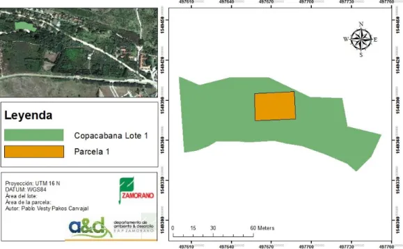 Figura 2. Mapa planimétrico de la parcela temporal 1, Lote 1, Copacabana. Plantación  de Gmelina arborea en Zamorano, Honduras, 2012