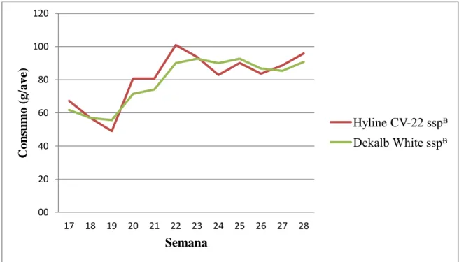 Figura  1.  Consumo  de  alimento  semanal  (g/ave)    de  líneas  Hy-Line  CV-22 ®   y  Dekalb  White ®  en sistema de semi-pastoreo