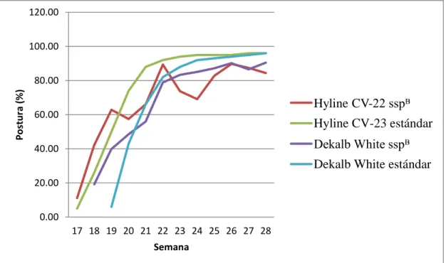 Figura 4. Postura (%) semanal de las líneas Hy-line CV-22 ®  y Dekalb White ®  en sistema  semi-pastoreo, y estándares de postura de las líneas Hy-line CV-22 ®  y Dekalb White ® 