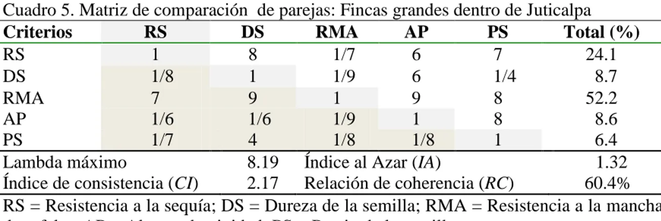 Cuadro 5. Matriz de comparación  de parejas: Fincas grandes dentro de Juticalpa 