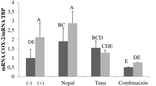 Figura 3. Efecto de los tratamientos en Células HUVEC en la expresión de COX-2. 