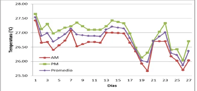 Figura 1. Temperatura en la mañana, tarde y promedio diario del agua de las pilas en un  sistema de acuaponía con tilapias en Zamorano