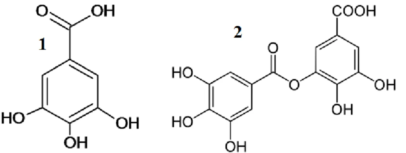 Figura 5. Estructura química de Ácido gálico y Ácido digálico 