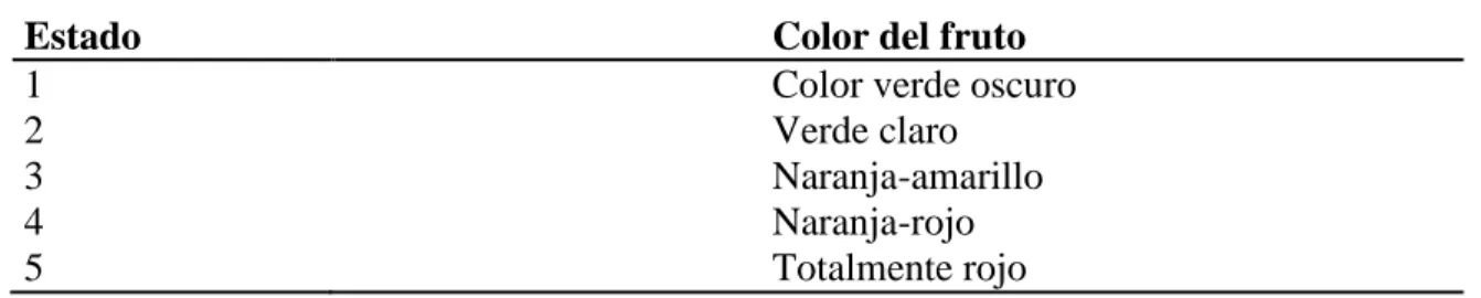 Cuadro 5. Escala de clasificación de madurez para el chile morrón 