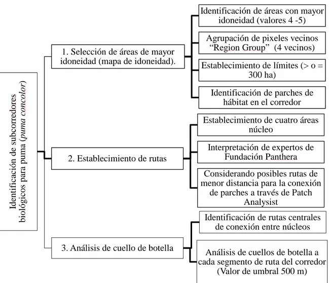 Figura 3. Descripción del proceso de elaboración del mapa subcorredores biológicos para  puma (Puma concolor) en el Corredor Biológico La Unión, Honduras, 2014