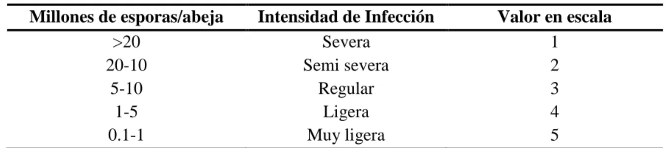 Cuadro 3. Escala infestación de nosema. 