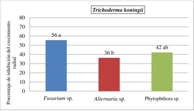 Figura 4. Efecto de Trichoderma koningii en el porcentaje de inhibición del crecimiento  radial de Fusarium sp., Alternaria sp