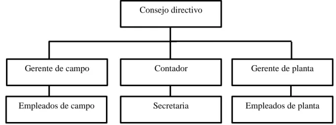 Figura 3. Organigrama organizacional de la empresa Vannamei Rl Cia Ltda. 