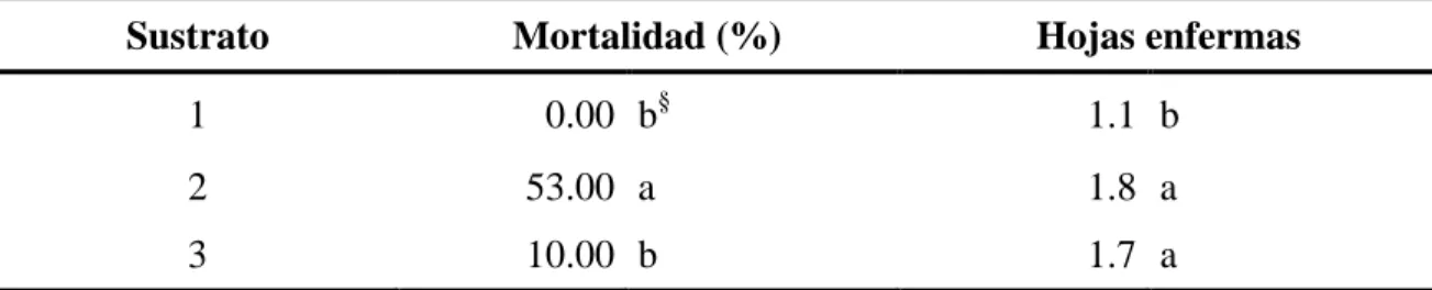 Cuadro  5.  Efecto  de  los  sustratos  en  las  variables  mortalidad  (%),  y  número  de  hojas  enfermas para la producción de viveros de café 