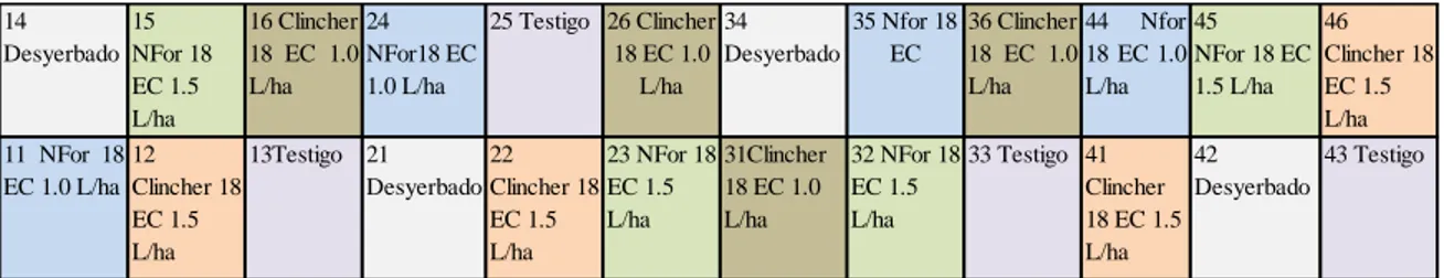 Figura 1. Distribución de lotes, tratamientos y dosis  para el experimento de evaluación de  dos  formulaciones  del  herbicida  Cyhaofop  en  arroz  (Oryza  sativa)  para  el  control  de  gramíneas y su fitotoxicidas en Zona III, Zamorano, Honduras