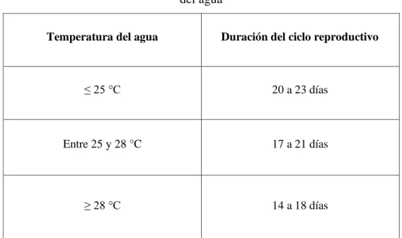 Tabla 1.5 Duración del ciclo de reproducción de tilapia a diferentes rangos de temperatura  del agua 