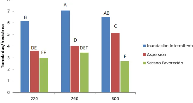 Figura  5.  Efecto  del  sistema  de  riego  y  la  densidad  de  siembra  en  el  rendimiento  del  cultivo de arroz Dicta Playitas FL 6-88 sembrado en surcos