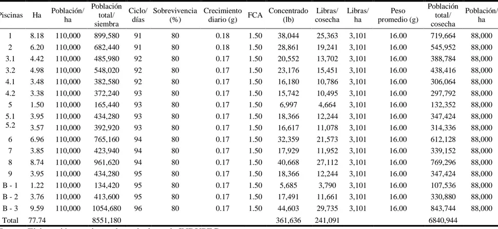 Cuadro 2. Características técnicas para la producción de camarón de 16g por ciclo.  Piscinas  Ha  Población/  ha  Población total/  siembra  Ciclo/ días  Sobrevivencia (%)  Crecimiento 