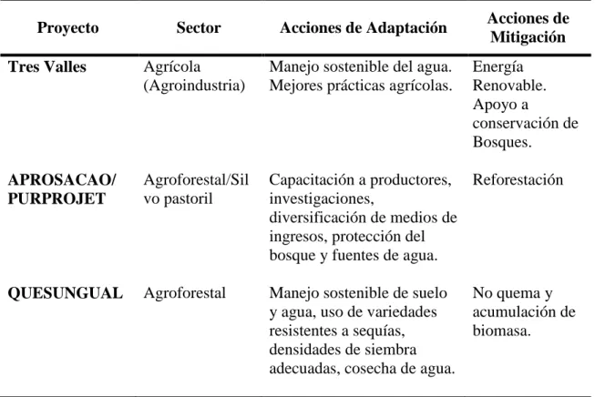 Cuadro 3. Acciones de adaptación y mitigación por tipo de proyecto. 