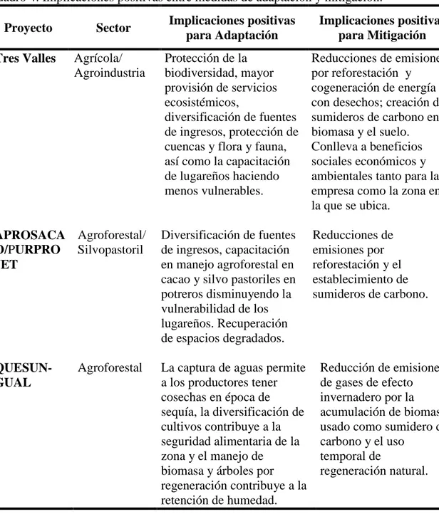 Cuadro 4. Implicaciones positivas entre medidas de adaptación y mitigación. 