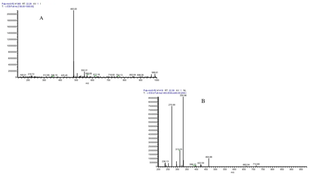 Figura  2.  Iones  identificados  en  MS-LC  del  éster-digaloil  glucosa  para  el  galotanino  C,  iones  en  el  primer  cromatograma  (A)  e  iones  en  el  segundo cromatograma (B)